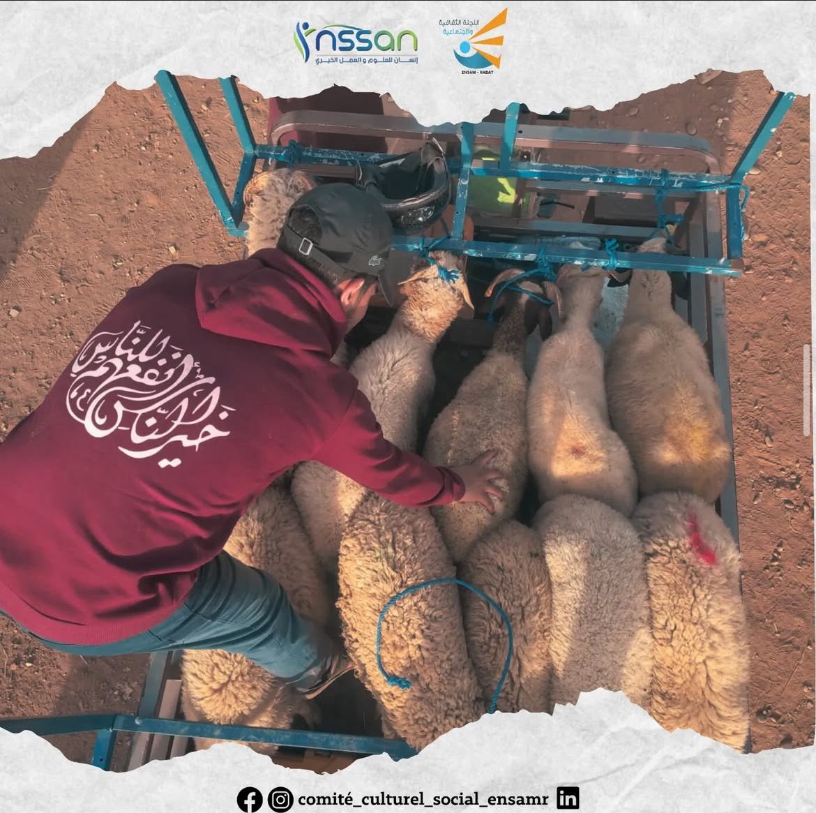 معرض الفنون